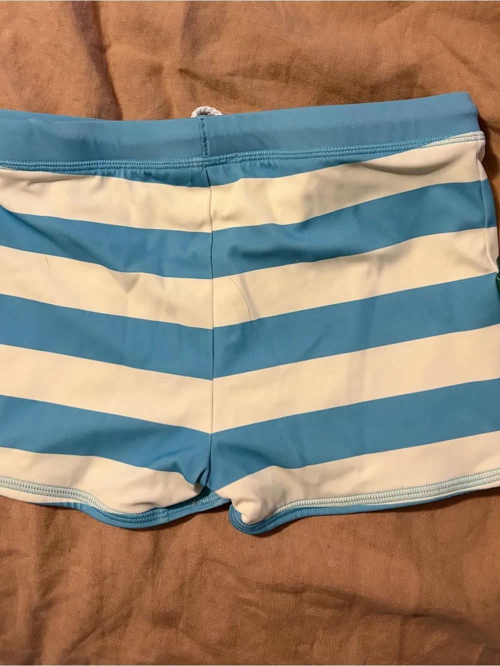 Mini Boden Blue and White Striped Dino Swim Trunks with Drawstring